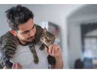 Shedsential Pet Grooming Brush